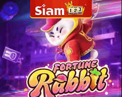 fortune vs rabbit ícone